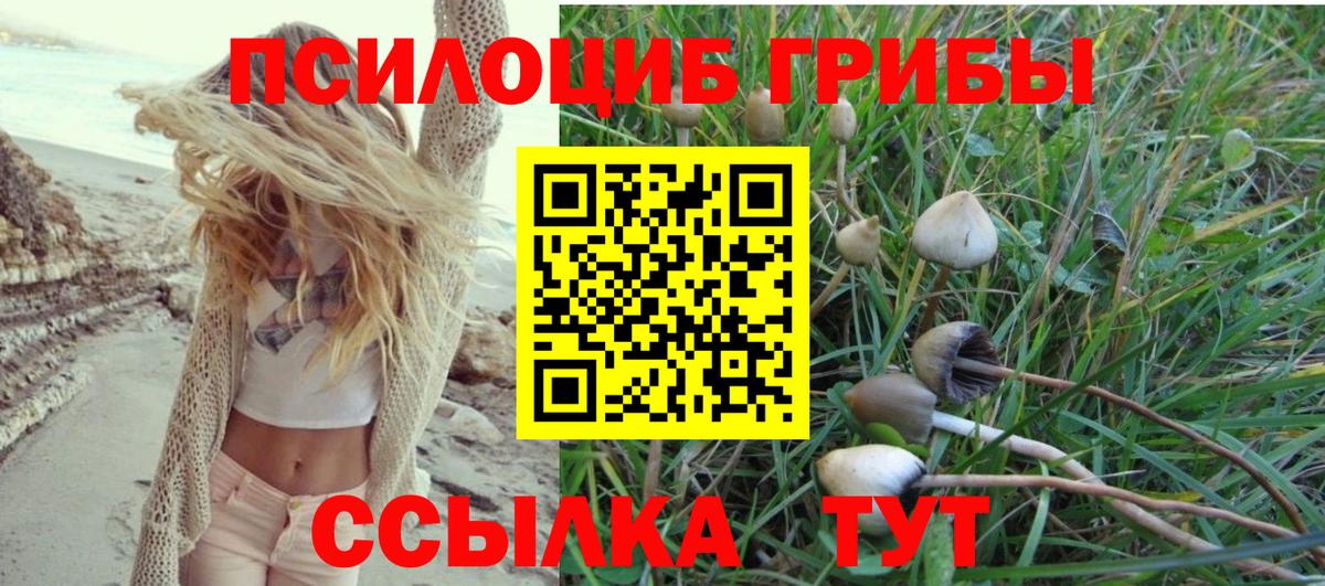 Псилоцибиновые грибы Cubensis  Псилоцибиновые грибы MAGIC MUSHROOMS  Вход с VPN  как найти   Зима 